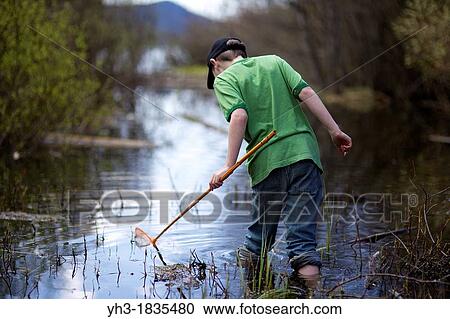 Young boy hunting frogs in the swampy lake View Large Photo Image Stock Image - Young boy hunting frogs in the swampy lake. Fotosearch