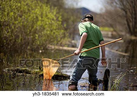 Young boy hunting frogs in the swampy lake View Large Photo Image Stock Image - Young boy hunting frogs in the swampy lake. Fotosearch