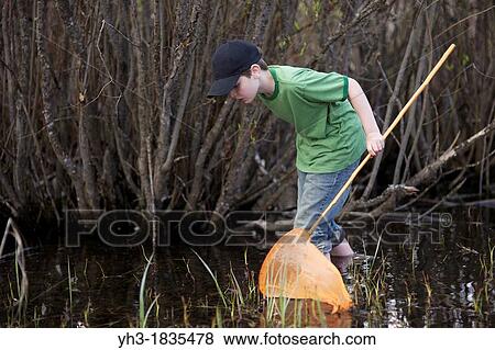 Young boy hunting frogs in the swampy lake View Large Photo Image Stock Photo - Young boy hunting frogs in the swampy lake. Fotosearch