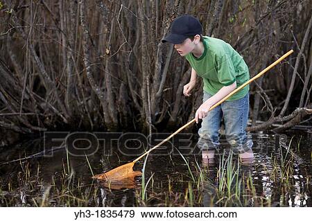 Young boy hunting frogs in the swampy lake View Large Photo Image Stock Photo - Young boy hunting frogs in the swampy lake. Fotosearch