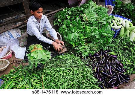 Stock Photo - Young boy selling vegetable at the market, New Delhi, India. Fotosearch