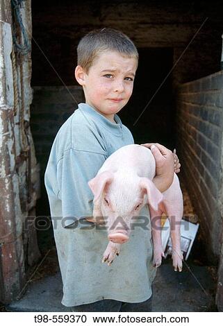 Young boy with pigglet on farm View Large Photo Image Stock Image - Young boy with pigglet on farm. Fotosearch