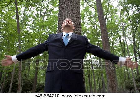 Young businessman in forest, arms outstretched View Large Photo Image Stock Image - Young businessman in forest, arms outstretched. Fotosearch