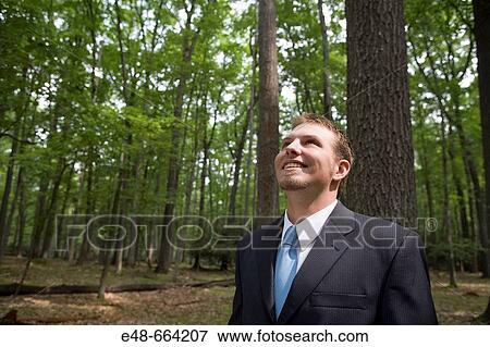 Young businessman in forest View Large Photo Image Stock Photo - Young businessman in forest. Fotosearch