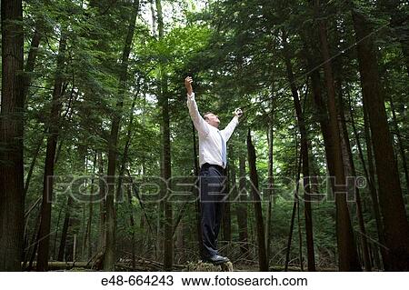 Young businessman in forest with cellular phone View Large Photo Image Stock Image - Young businessman in forest with cellular phone. Fotosearch