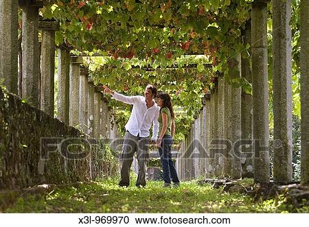 Young couple in a vineyard Spain View Large Photo Image Stock Image - Young couple in a vineyard Spain. Fotosearch