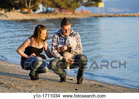 Young couple with a small samoyed pet dog View Large Photo Image Picture - Young couple with a small samoyed pet dog. Fotosearch