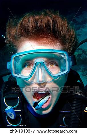 Young diver having mouth cleaned by cleanerfish, Sabre-toothed blenny Aspidontus taeniatus, Red Sea, Egypt, Africa View Large Photo Image Stock Photo - Young diver having mouth cleaned by cleanerfish, Sabre-toothed blenny Aspidontus taeniatus, Red Sea, Egypt, Africa. Fotosearch