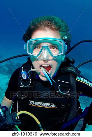 Stock Photograph - Young diver having mouth cleaned by cleanerfish, Sabre-toothed blenny Aspidontus taeniatus, Red Sea, Egypt, Africa. Fotosearch
