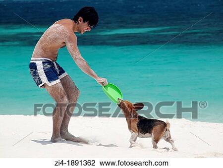 Young European man playing with his dog a sandy beach in Malaysia View Large Photo Image Stock Image - Young European man playing with his dog a sandy beach in Malaysia. Fotosearch