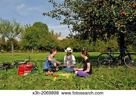 young female cyclists having a picnic in an apple orchard, around Corbon, Orne department, Lower Normandy region, France, Western Europe. View Large Photo Image Stock Photo - young female cyclists having a picnic in an apple orchard, around Corbon, Orne department, Lower Normandy region, France, Western Europe.. Fotosearch