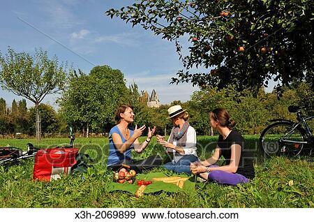 Stock Photo - young female cyclists having a picnic in an apple orchard, around Corbon, Orne department, Lower Normandy region, France, Western Europe.. Fotosearch