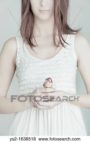 Young female holding a rose in her hands View Large Photo Image Stock Photo - Young female holding a rose in her hands. Fotosearch
