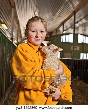 Stock Image - Young girl holding sheep, Kidafell Farm, Western Iceland. Fotosearch