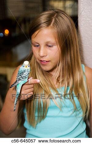 Young girl holds and looks at a blue parakeet. View Large Photo Image Stock Photo - Young girl holds and looks at a blue parakeet.. Fotosearch