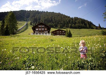 Young girl in a feild with a swiss chalet in the background, blowing a dandelion in M? rren, Switzerland View Large Photo Image Stock Photography - Young girl in a feild with a swiss chalet in the background, blowing a dandelion in M? rren, Switzerland. Fotosearch