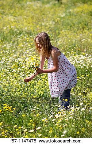 Young girl picking flowers View Large Photo Image Stock Photo - Young girl picking flowers. Fotosearch