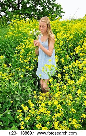 Young girl picking yellow flowers in a field View Large Photo Image Stock Photo - Young girl picking yellow flowers in a field. Fotosearch