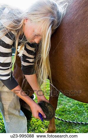 Young girl scraping the hoofs of a pony View Large Photo Image Stock Photo - Young girl scraping the hoofs of a pony. Fotosearch