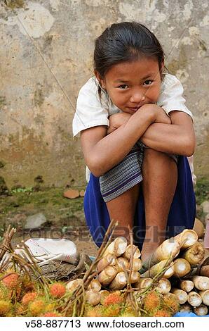 Young girl selling rambutan fruits and sugar cane sticks, Muong Khua market, Muong Khua, Phongsaly province, Laos View Large Photo Image Stock Image - Young girl selling rambutan fruits and sugar cane sticks, Muong Khua market, Muong Khua, Phongsaly province, Laos. Fotosearch
