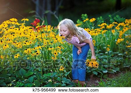 young girl smelling flowers View Large Photo Image Stock Photo - young girl smelling flowers. Fotosearch