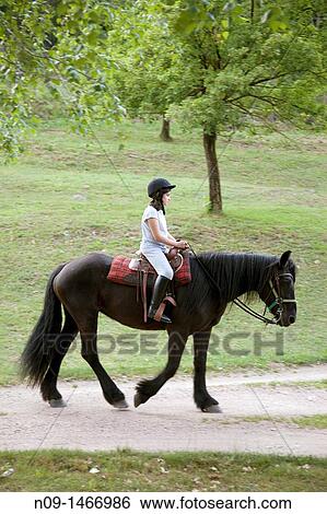 Young girl trotting on horse View Large Photo Image Stock Photograph - Young girl trotting on horse. Fotosearch
