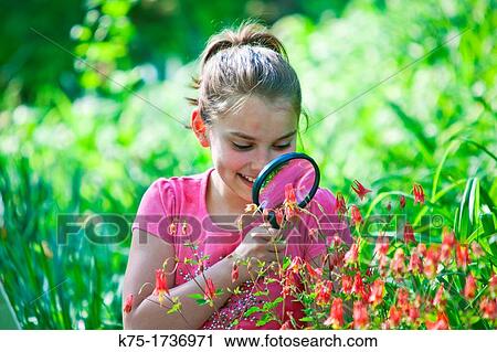 Young girl using magnifying glass to see close-up of flowers View Large Photo Image Stock Image - Young girl using magnifying glass to see close-up of flowers. Fotosearch