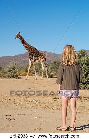 Young girl watching a giraffe while on a walking safari, Inverdoorn Game Reserve, Karoo desert, South Africa. View Large Photo Image Stock Photo - Young girl watching a giraffe while on a walking safari, Inverdoorn Game Reserve, Karoo desert, South Africa.. Fotosearch