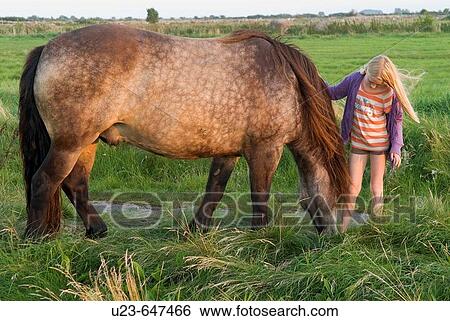 Young girl with horse. Oland, Sweden. View Large Photo Image Stock Photograph - Young girl with horse. Oland, Sweden.. Fotosearch