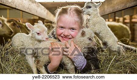 Young girl with newborn lambs, Iceland. View Large Photo Image Stock Image - Young girl with newborn lambs, Iceland.. Fotosearch