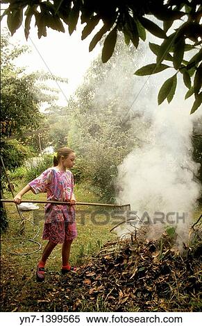 Young girl works diligently in the backyard raking up the leaves and feeding her smoky bonfire View Large Photo Image Stock Photography - Young girl works diligently in the backyard raking up the leaves and feeding her smoky bonfire. Fotosearch