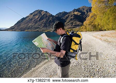 Young hiker reading a map at Glendhu Bay on the shores of Lake Wanaka, South Island of New Zealand View Large Photo Image Stock Photograph - Young hiker reading a map at Glendhu Bay on the shores of Lake Wanaka, South Island of New Zealand. Fotosearch