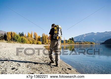 Young hiker walking at Glendhu Bay on the shores of Lake Wanaka, South Island of New Zealand View Large Photo Image Stock Image - Young hiker walking at Glendhu Bay on the shores of Lake Wanaka, South Island of New Zealand. Fotosearch