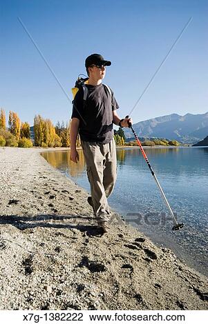 Young hiker walking at Glendhu Bay on the shores of Lake Wanaka, South Island of New Zealand View Large Photo Image Stock Image - Young hiker walking at Glendhu Bay on the shores of Lake Wanaka, South Island of New Zealand. Fotosearch