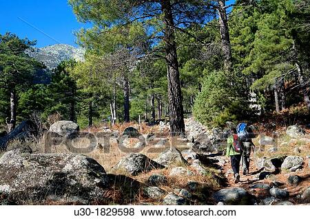 Young hikers walking in Domingo Fernando, Sierra de Gredos Regional Park El Hornillo Arenas de San Pedro? vila province Castilla y Le? n Spain View Large Photo Image Stock Photo - Young hikers walking in Domingo Fernando, Sierra de Gredos Regional Park El Hornillo Arenas de San Pedro? vila province Castilla y Le? n Spain. Fotosearch