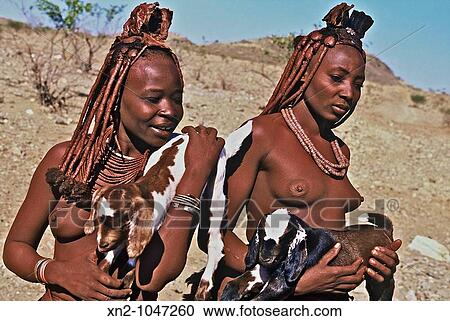 Young Himba girls tending their goats, Namibia View Large Photo Image Stock Image - Young Himba girls tending their goats, Namibia. Fotosearch