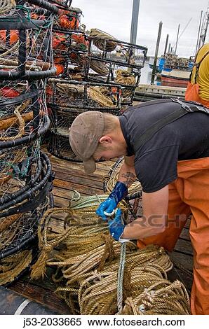 Young man on commercial fishing boat preparing crab pots for next trip, Westport, Washington USA. View Large Photo Image Stock Photography - Young man on commercial fishing boat preparing crab pots for next trip, Westport, Washington USA.. Fotosearch
