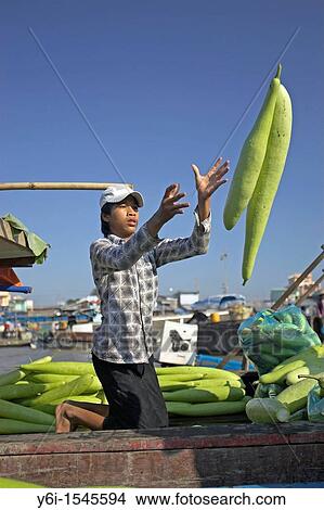 Young man throwing winter melons boat to boat Cai Ran floating market near Can Tho Vietnam View Large Photo Image Picture - Young man throwing winter melons boat to boat Cai Ran floating market near Can Tho Vietnam. Fotosearch