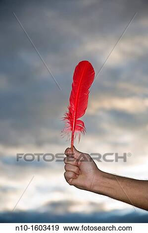 Young man's hand holding a feather View Large Photo Image Stock Photo - Young man's hand holding a feather. Fotosearch