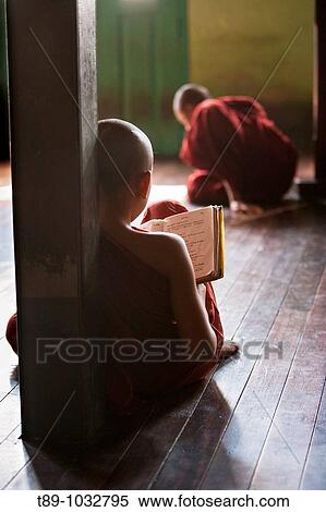 young monks studing View Large Photo Image Stock Photography - young monks studing. Fotosearch