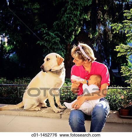 Young mother bottle feeding her baby and Labrador Golden Retriever dog View Large Photo Image Stock Photograph - Young mother bottle feeding her baby and Labrador Golden Retriever dog. Fotosearch