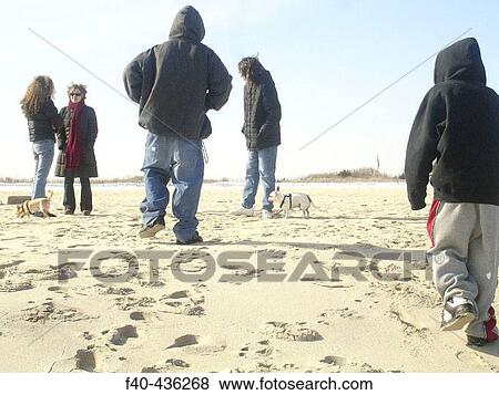 Young people with their dogs on the beach View Large Photo Image Stock Photo - Young people with their dogs on the beach. Fotosearch