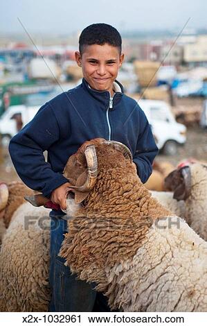 Young shepherd with a ram, livestock fair, Tetouan, Morocco View Large Photo Image Stock Image - Young shepherd with a ram, livestock fair, Tetouan, Morocco. Fotosearch