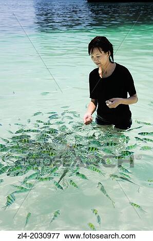 Stock Photo - Young Thai woman feeding the fishes in the sea. Thailand, Krabi, Hong island. Model Released. 1015. Fotosearch