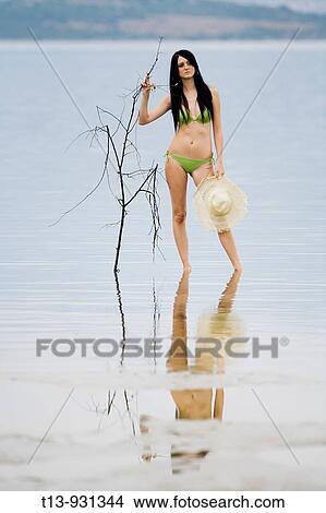 Young water standing in water with odd tree branch View Large Photo Image Picture - Young water standing in water with odd tree branch. Fotosearch