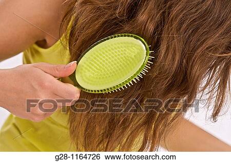 Young woman brushing her hair View Large Photo Image Stock Photograph - Young woman brushing her hair. Fotosearch