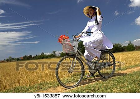 Young woman in conical hat and traditional white ao dai costume rides bicycle in rice fields near Phan Thiet south east Vietnam View Large Photo Image Stock Photo - Young woman in conical hat and traditional white ao dai costume rides bicycle in rice fields near Phan Thiet south east Vietnam. Fotosearch