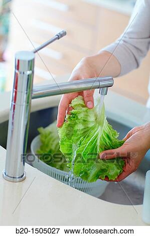 Young woman in kitchen View Large Photo Image Stock Photo - Young woman in kitchen. Fotosearch
