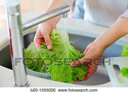 Young woman in kitchen View Large Photo Image Stock Photograph - Young woman in kitchen. Fotosearch