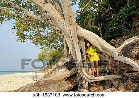 Young woman on a tree, Koh Phi Phi Don beach Krabi, Thailand, Asia View Large Photo Image Stock Image - Young woman on a tree, Koh Phi Phi Don beach Krabi, Thailand, Asia. Fotosearch